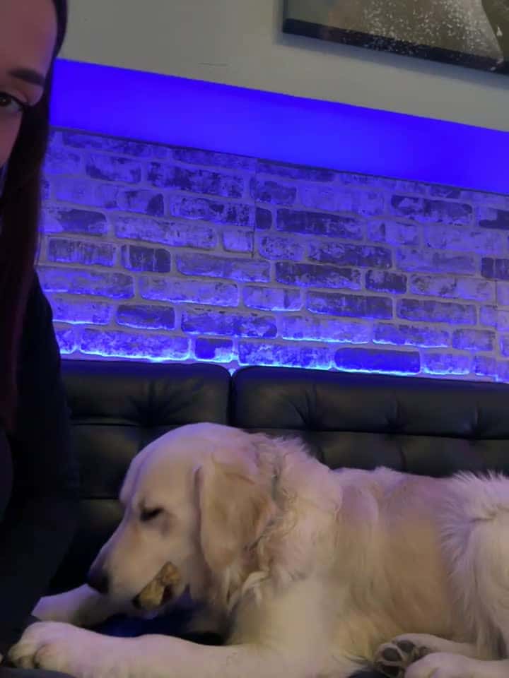 CharmingRuby - Stripchat Show (6h 48m) • Tuesday, December 3, 2024 [s9q0]