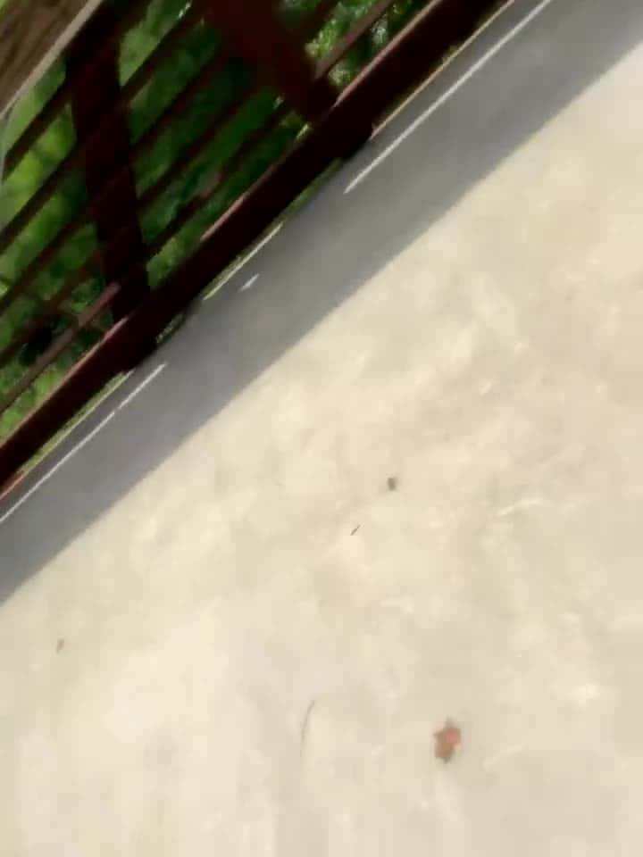 BigFineSelena - Stripchat Show (1h 42m) • Saturday, September 27, 2025 [o759]