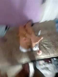 Bigtiti01 - Stripchat Show (55m 6s) • Thursday, June 26, 2025 [x56e]